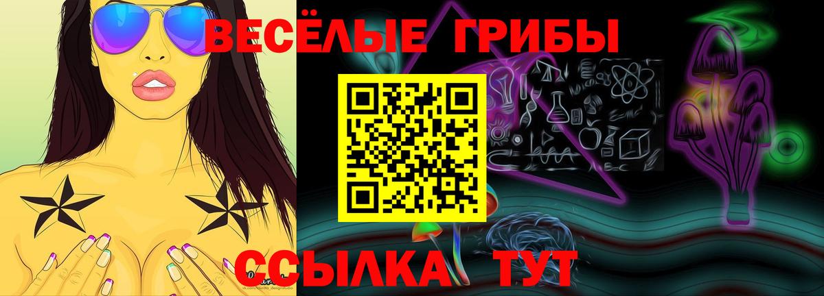 Галлюциногенные грибы Magic Shrooms  Вход с VPN  Вичуга 